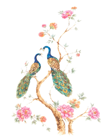 Peacocks on Branch
